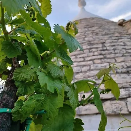 Feriehus Trullo Negli Ulivi *
