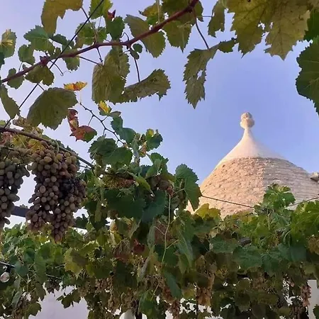 Feriehus Trullo Negli Ulivi Pezze Di Greco
