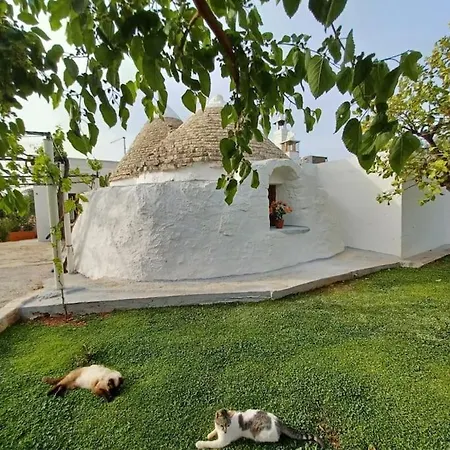 Trullo Negli Ulivi Pezze Di Greco