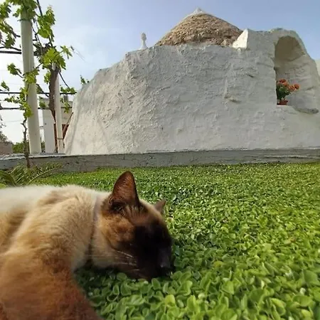 Feriehus Trullo Negli Ulivi *