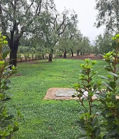Trullo Negli Ulivi Pezze Di Greco