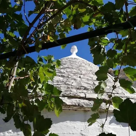 Trullo Negli Ulivi Pezze Di Greco