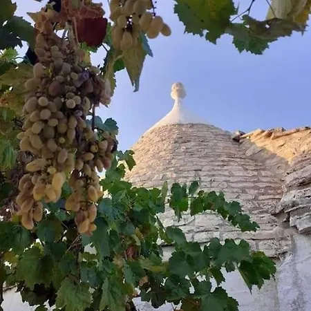 Trullo Negli Ulivi