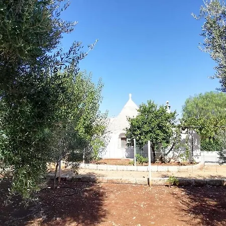 Trullo Negli Ulivi
