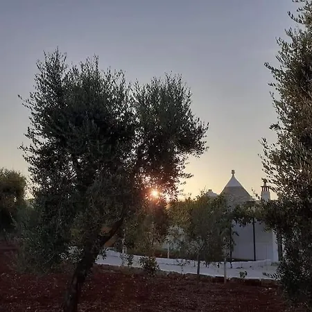 Trullo Negli Ulivi Pezze Di Greco